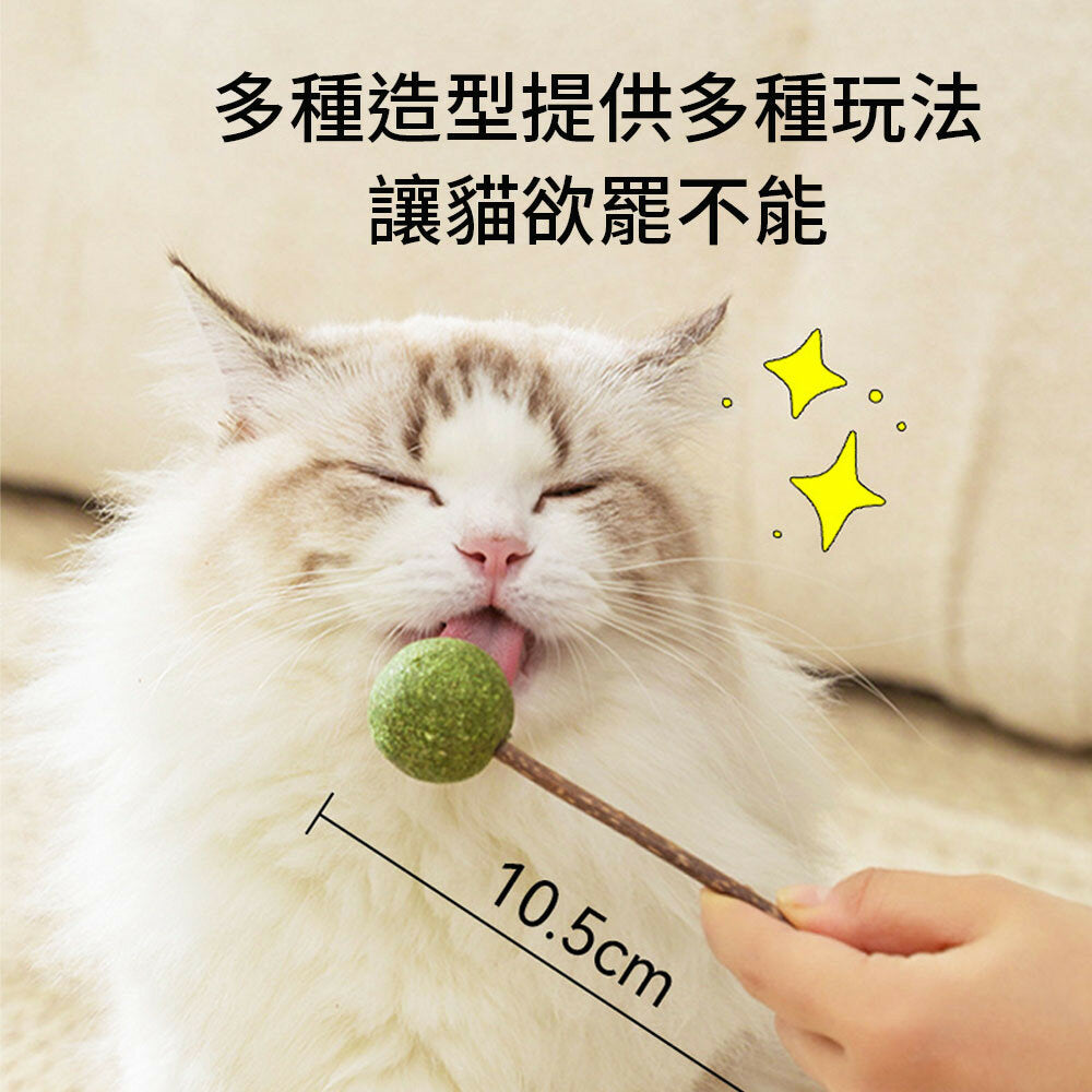 AAC貓薄荷串串玩具 貓薄荷棒棒糖 蟲癭果 貓薄荷 貓薄荷球 貓玩具 貓咪 貓 磨牙玩具 逗貓玩具 逗貓球 貓草 木天蓼