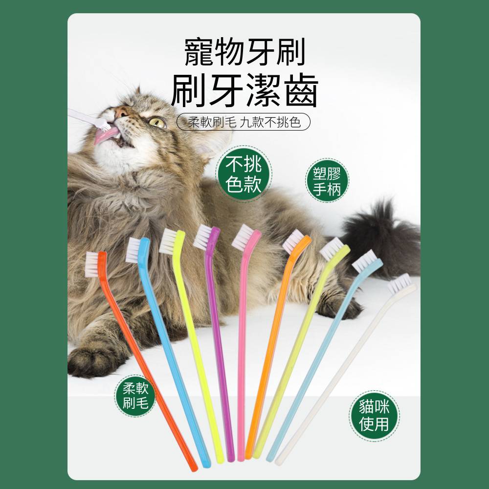 單頭彩色mini寵物牙刷 小號牙刷 貓牙刷 小型犬牙刷 寵物專用牙刷