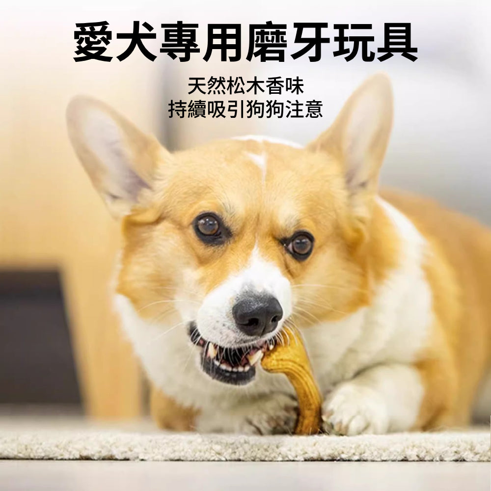 GIGWI木頭鹿角磨牙棒 狗狗玩具 磨牙玩具 寵物玩具 耐咬潔齒 木塑鹿角 耐磨耐咬玩具 潔牙骨頭 寵物用品