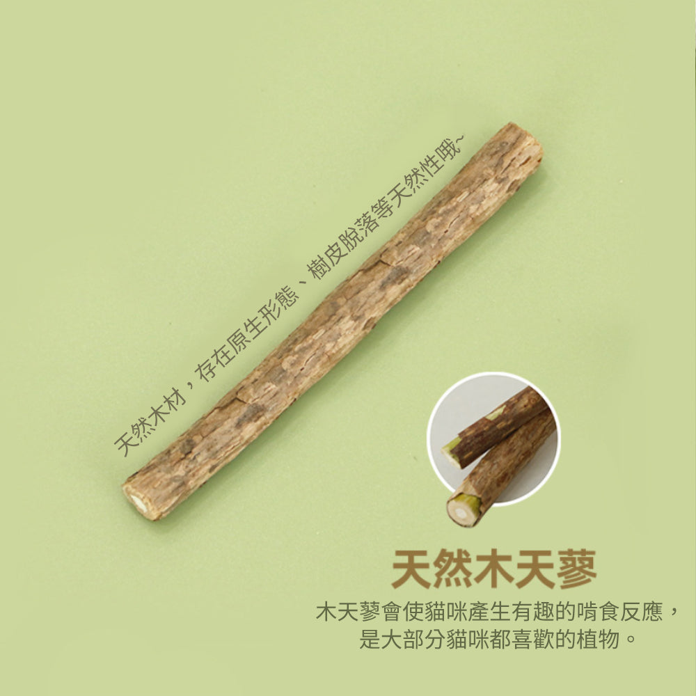喜多魚 小蔥木天蓼玩具 木天蓼 逗貓玩具 逗貓棒 木天蓼逗貓棒 貓咪玩具 響鈴逗貓玩具 貓玩具