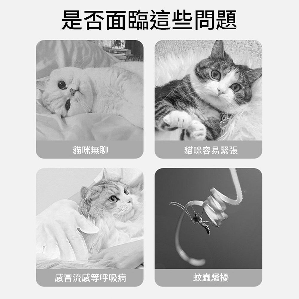 AAC貓薄荷串串玩具 貓薄荷棒棒糖 蟲癭果 貓薄荷 貓薄荷球 貓玩具 貓咪 貓 磨牙玩具 逗貓玩具 逗貓球 貓草 木天蓼