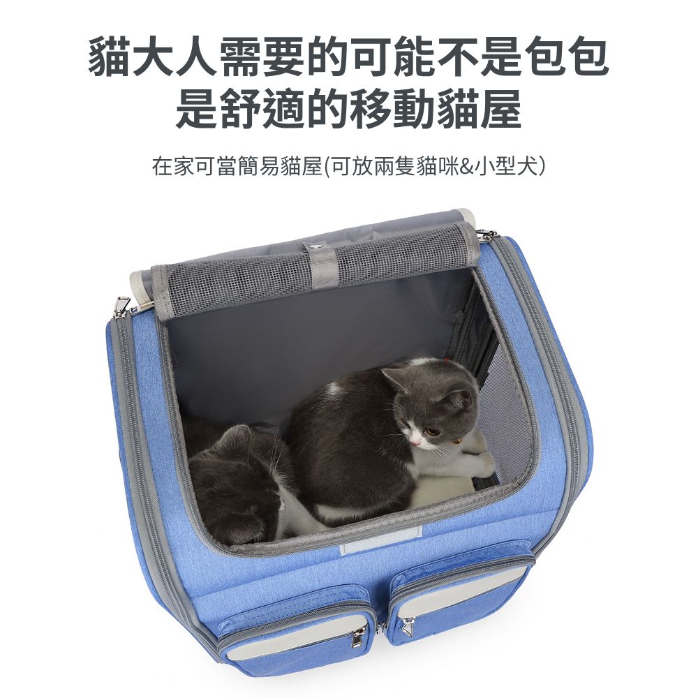 GZD便攜箱型拉桿後背包 寵物背包 寵物外出包 外出旅行寵物雙肩包 拉桿寵物推車 外出拉桿背包
