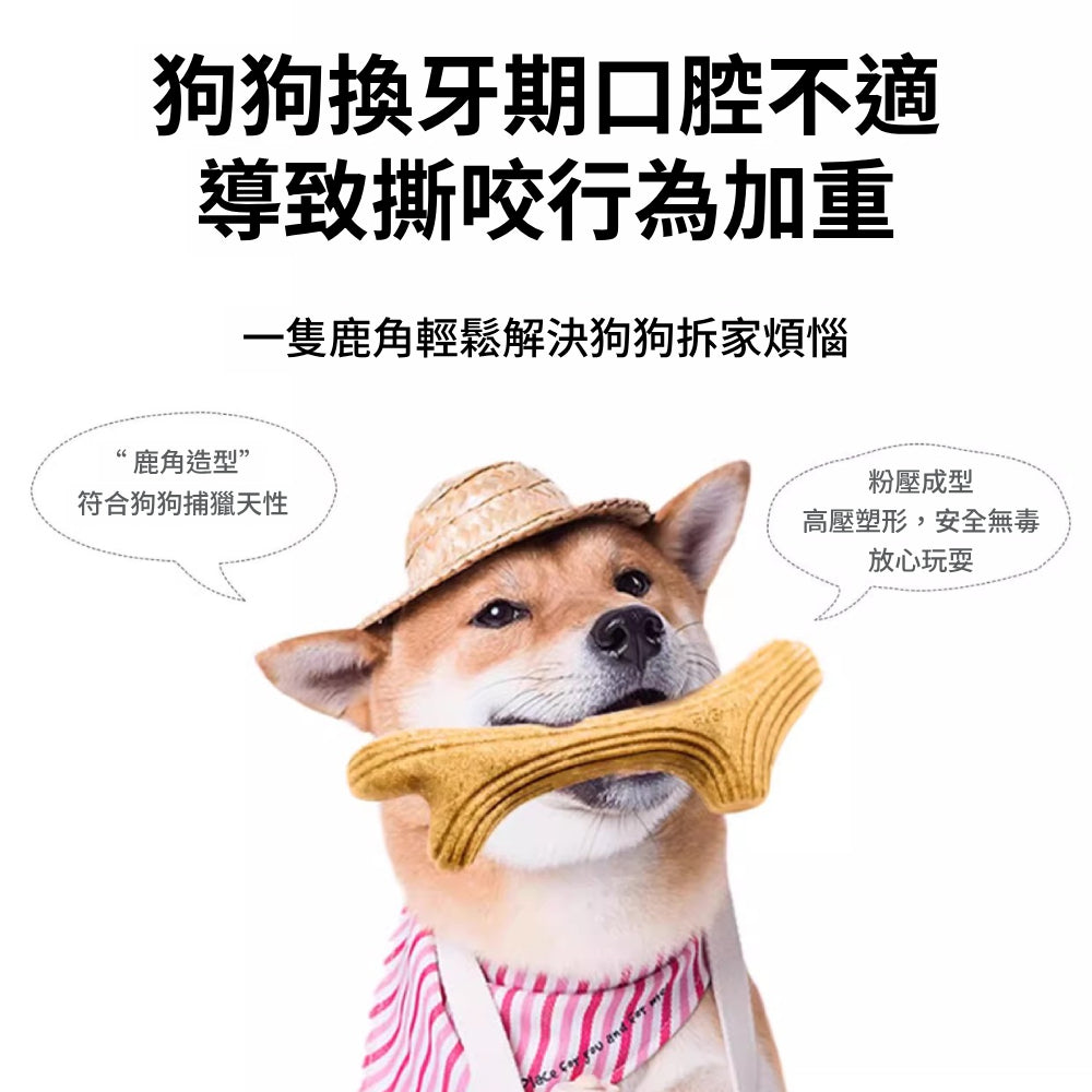 GIGWI木頭鹿角磨牙棒 狗狗玩具 磨牙玩具 寵物玩具 耐咬潔齒 木塑鹿角 耐磨耐咬玩具 潔牙骨頭 寵物用品