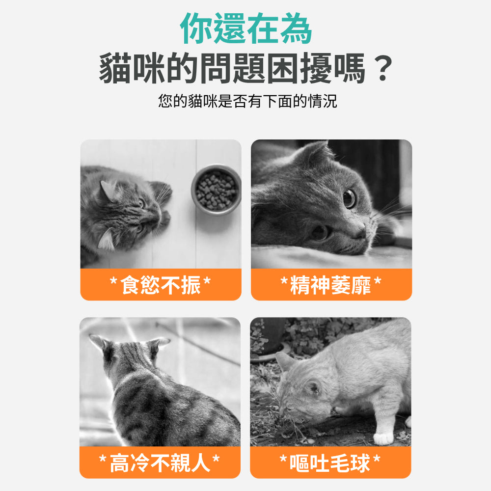 AAC貓薄荷球 貓草球 貓薄荷 貓咪玩具 貓草 貓玩具 逗貓棒 貓草棒 逗貓 木天蓼 逗貓玩具 貓草