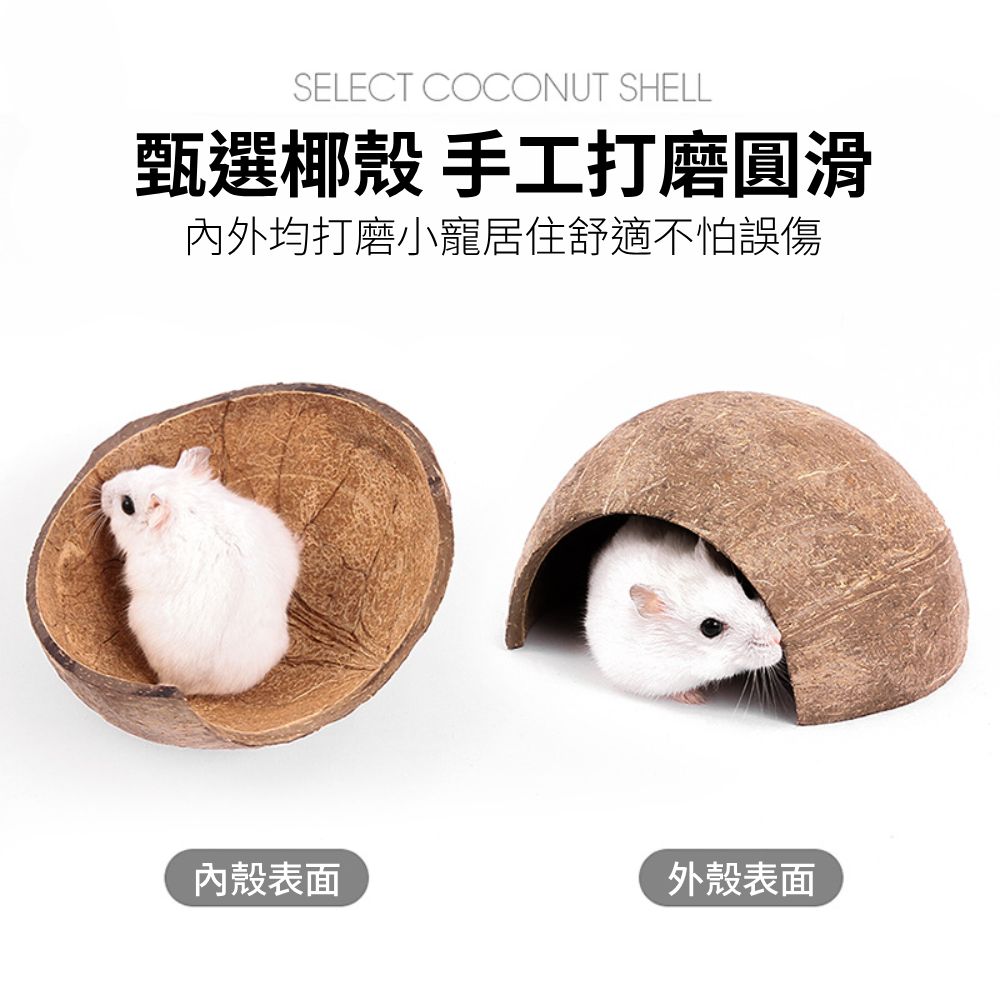 YEE椰殼倉鼠窩 倉鼠躲避屋 倉鼠椰子窩 天然椰子殼 倉鼠磨牙小屋 倉鼠籠內造景 倉鼠吊窩 倉鼠空中爬梯