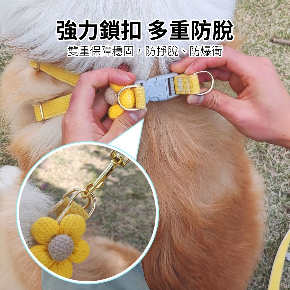 LUFEI寵物胸背牽引繩 五瓣花 可愛胸背 貓咪牽引繩 寵物牽繩 胸背帶 狗牽繩 貓牽繩