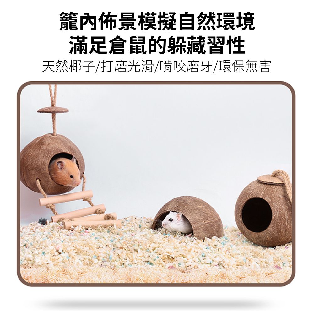 YEE椰殼倉鼠窩 倉鼠躲避屋 倉鼠椰子窩 天然椰子殼 倉鼠磨牙小屋 倉鼠籠內造景 倉鼠吊窩 倉鼠空中爬梯