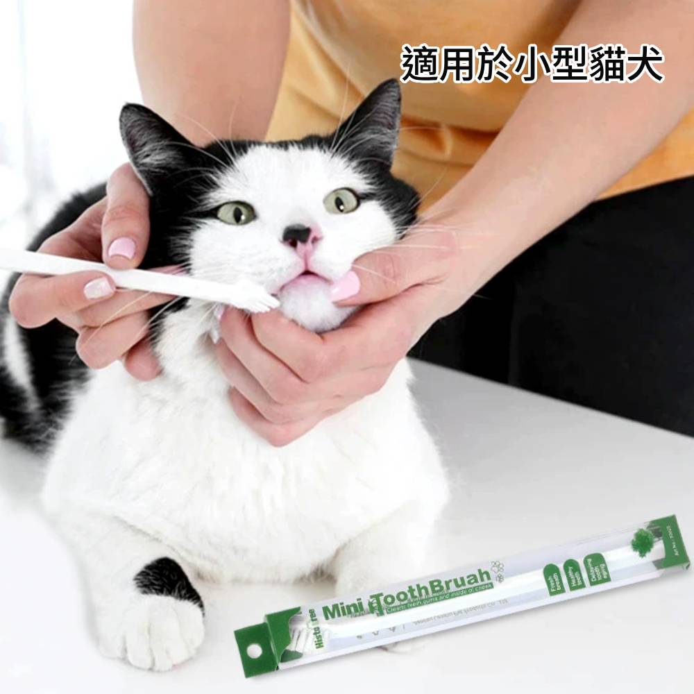 單頭彩色mini寵物牙刷 小號牙刷 貓牙刷 小型犬牙刷 寵物專用牙刷