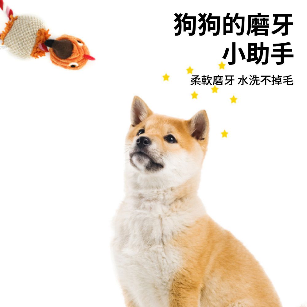 餵根蔬 毛絨棉繩 狗玩具 寵物耐咬玩具 棉繩玩具 發聲玩具 寵物玩具 磨牙潔齒玩具 互動玩具