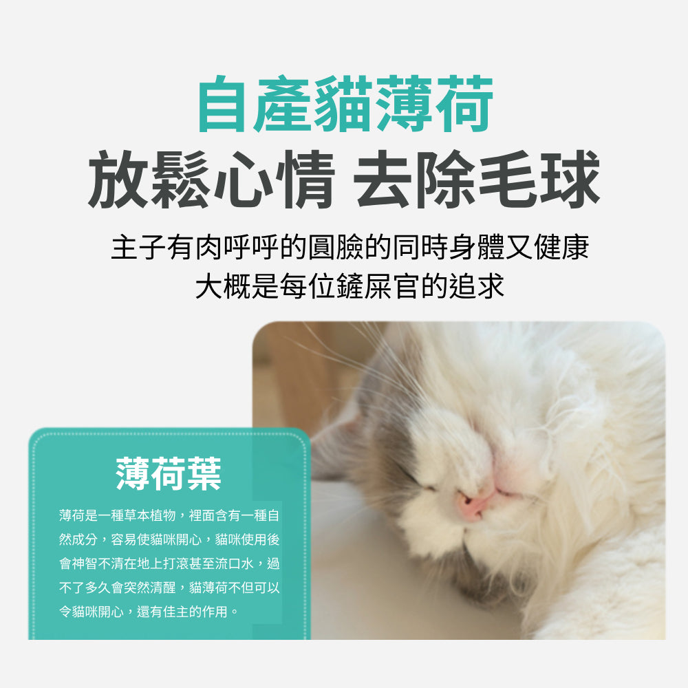 AAC貓薄荷球 貓草球 貓薄荷 貓咪玩具 貓草 貓玩具 逗貓棒 貓草棒 逗貓 木天蓼 逗貓玩具 貓草