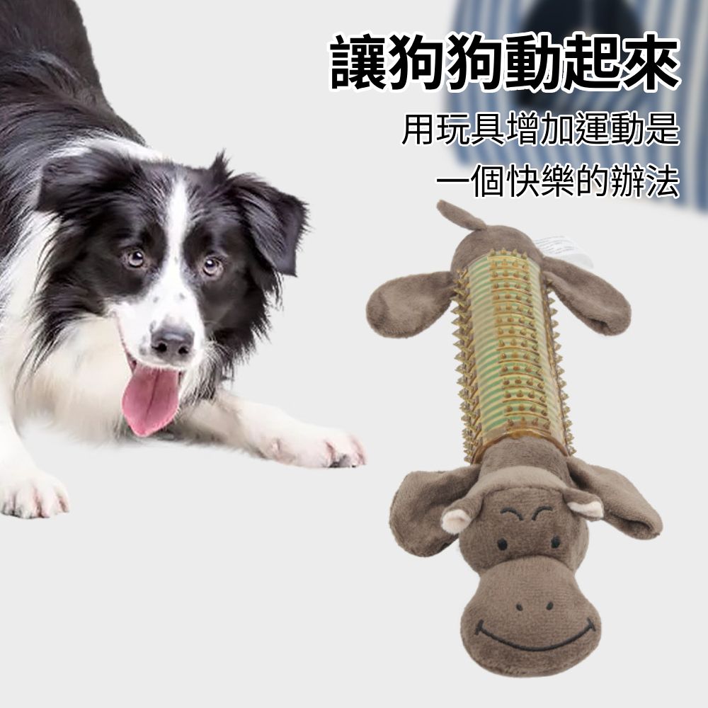 餵根蔬 TPR 啃咬棒 狗玩具 寵物耐咬玩具 棉繩玩具 發聲玩具 寵物玩具 磨牙潔齒玩具 啃咬玩具