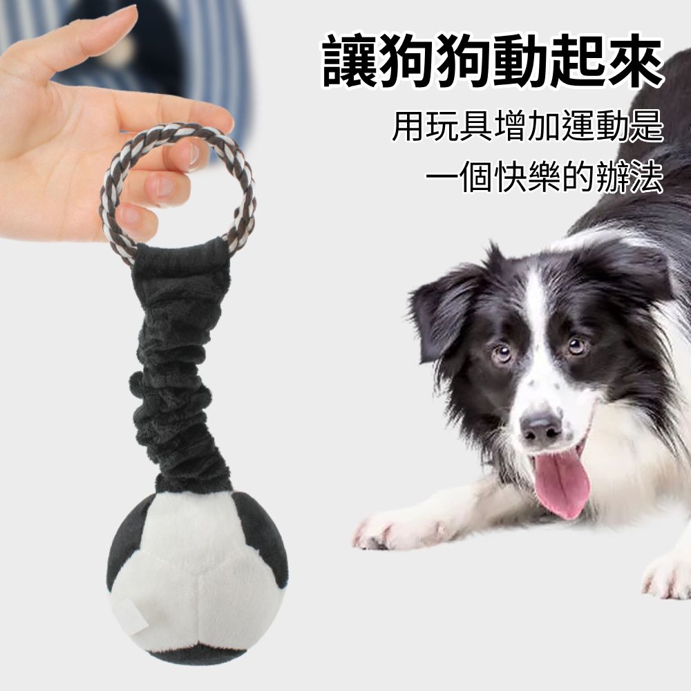 餵根蔬 把手甩甩 狗玩具 發聲玩具 寵物玩具 磨牙潔齒玩具 互動玩具 寵物耐咬玩具