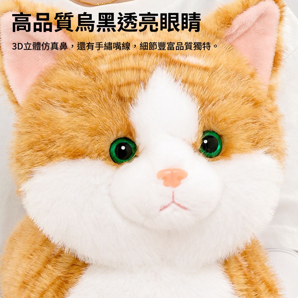 抱抱寶貝貓玩偶 毛絨玩具 絨毛娃娃 貓咪玩偶 大型玩偶 玩偶動物 安撫娃娃 趴趴貓咪