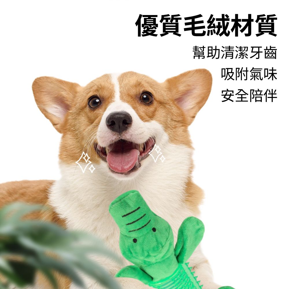 餵根蔬 TPR 啃咬棒 狗玩具 寵物耐咬玩具 棉繩玩具 發聲玩具 寵物玩具 磨牙潔齒玩具 啃咬玩具