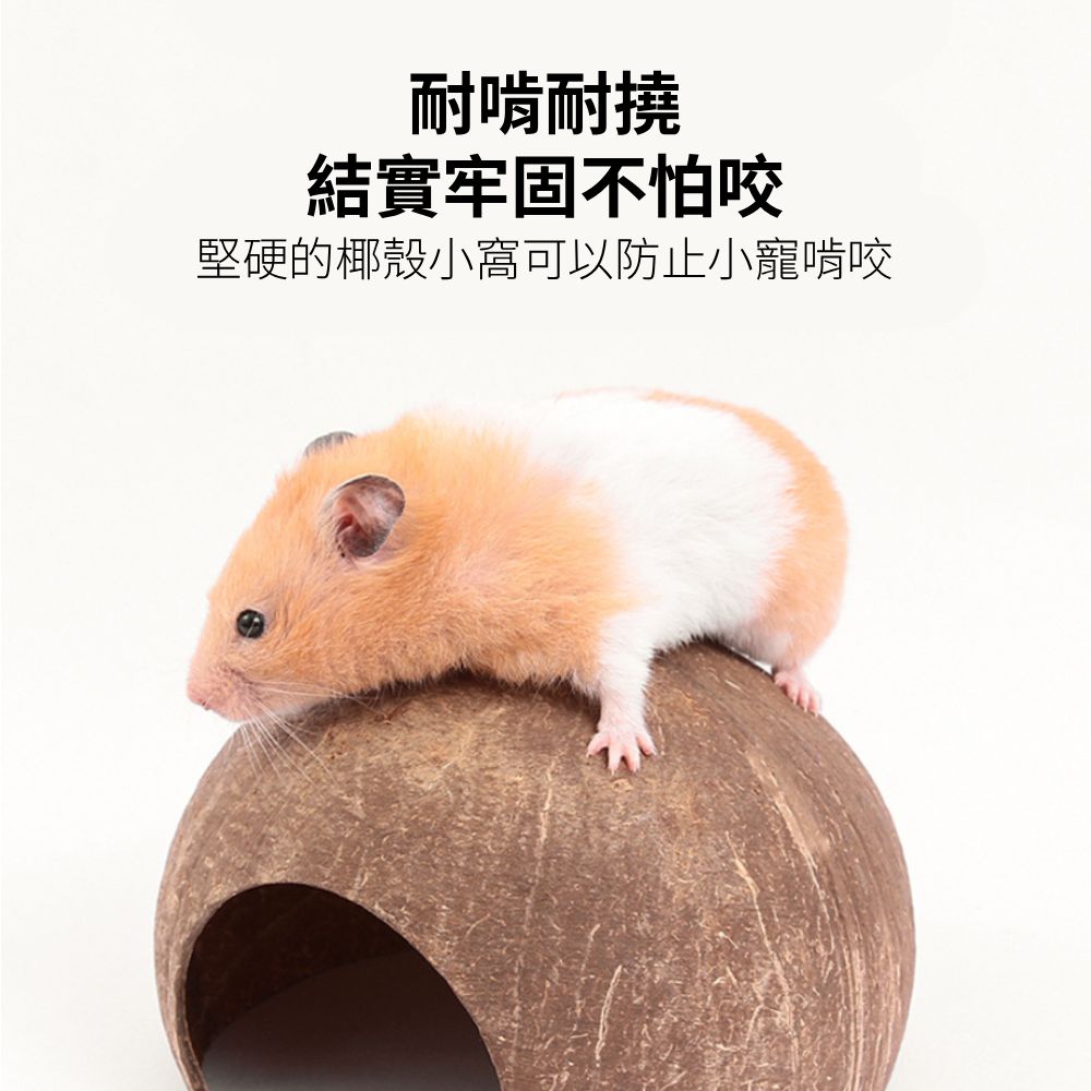 YEE椰殼倉鼠窩 倉鼠躲避屋 倉鼠椰子窩 天然椰子殼 倉鼠磨牙小屋 倉鼠籠內造景 倉鼠吊窩 倉鼠空中爬梯