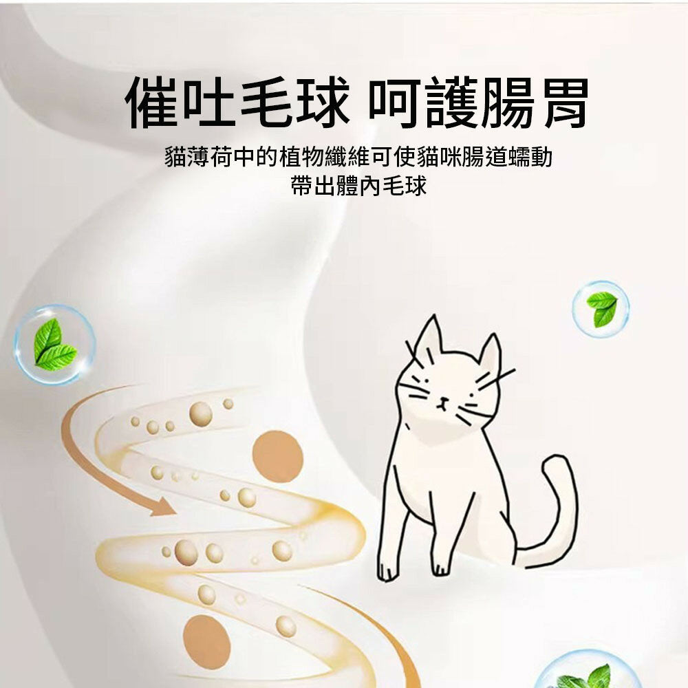 AAC貓薄荷串串玩具 貓薄荷棒棒糖 蟲癭果 貓薄荷 貓薄荷球 貓玩具 貓咪 貓 磨牙玩具 逗貓玩具 逗貓球 貓草 木天蓼