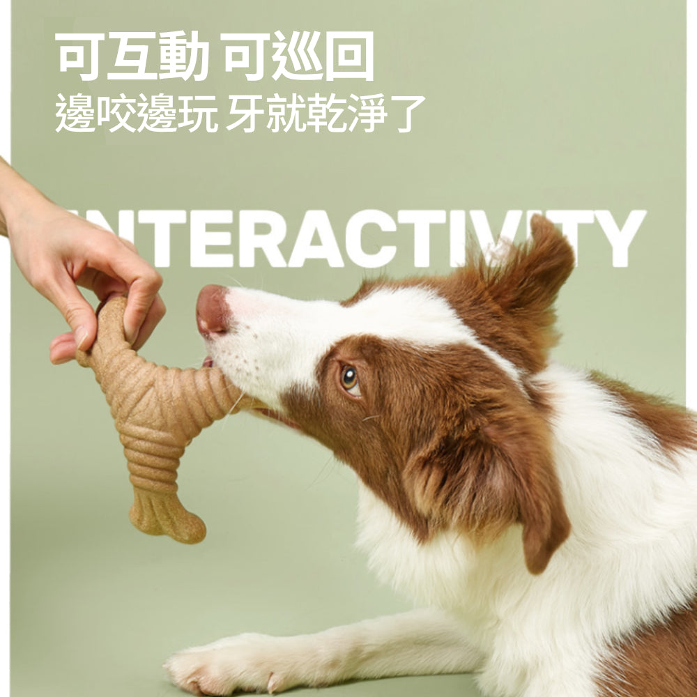 FOFOS狗狗磨牙棒 木塑狗狗玩具 耐咬玩具 幼犬潔齒 天然原木磨牙棒 寵物玩具 狗玩具 寵物潔牙