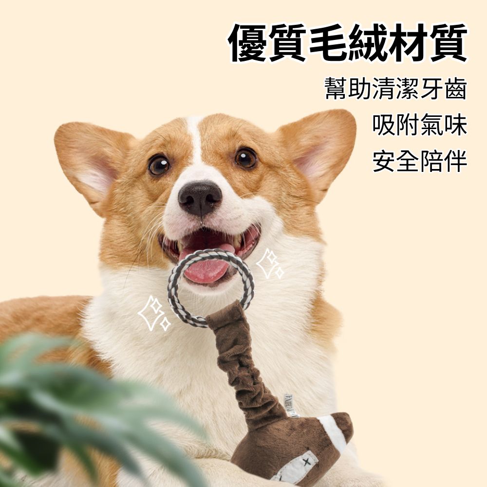 餵根蔬 把手甩甩 狗玩具 發聲玩具 寵物玩具 磨牙潔齒玩具 互動玩具 寵物耐咬玩具