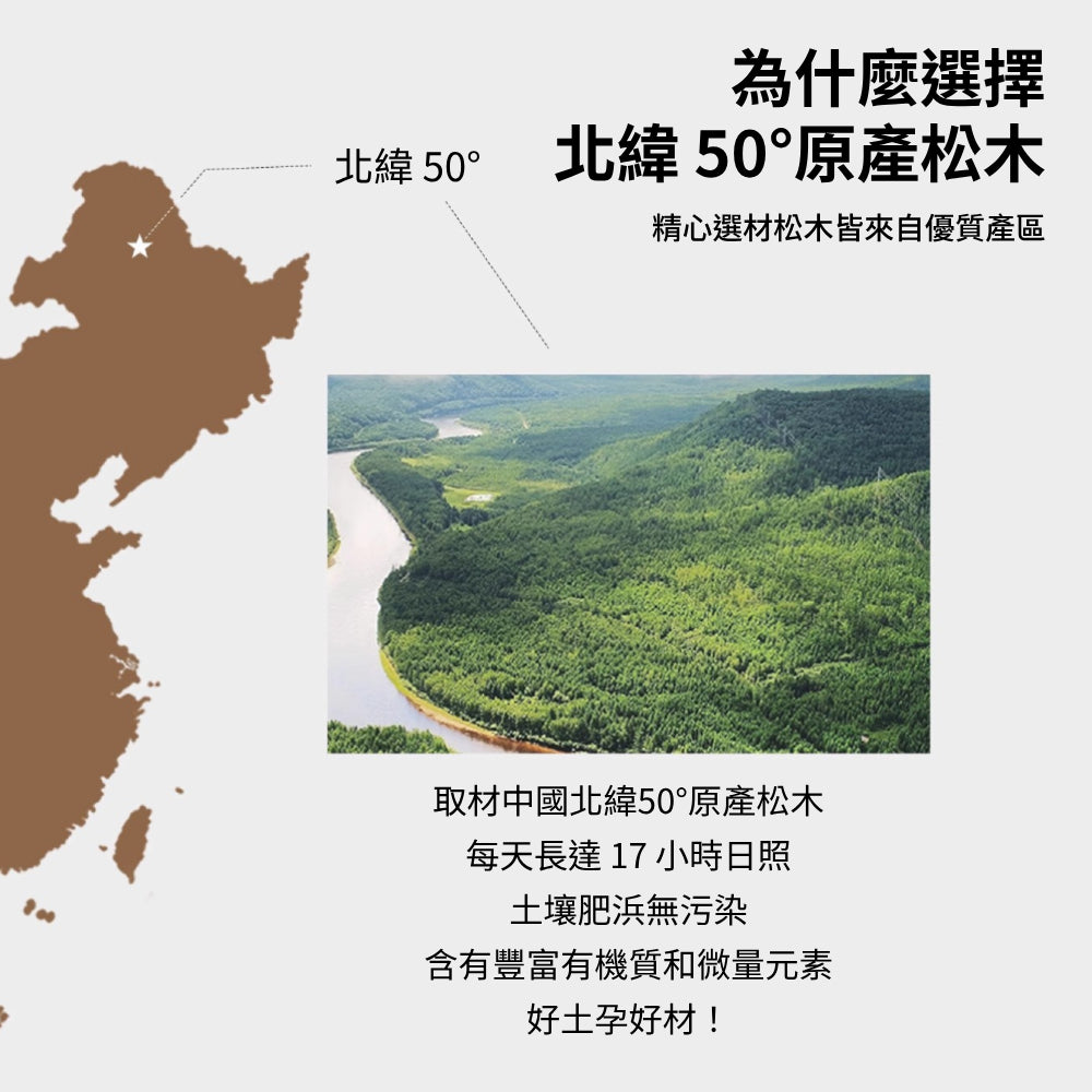 GIGWI木頭鹿角磨牙棒 狗狗玩具 磨牙玩具 寵物玩具 耐咬潔齒 木塑鹿角 耐磨耐咬玩具 潔牙骨頭 寵物用品