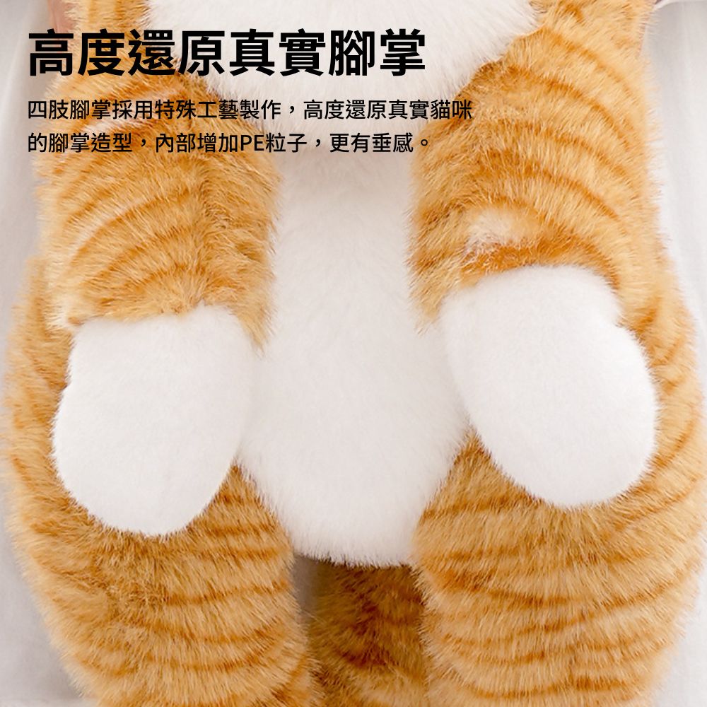抱抱寶貝貓玩偶 毛絨玩具 絨毛娃娃 貓咪玩偶 大型玩偶 玩偶動物 安撫娃娃 趴趴貓咪