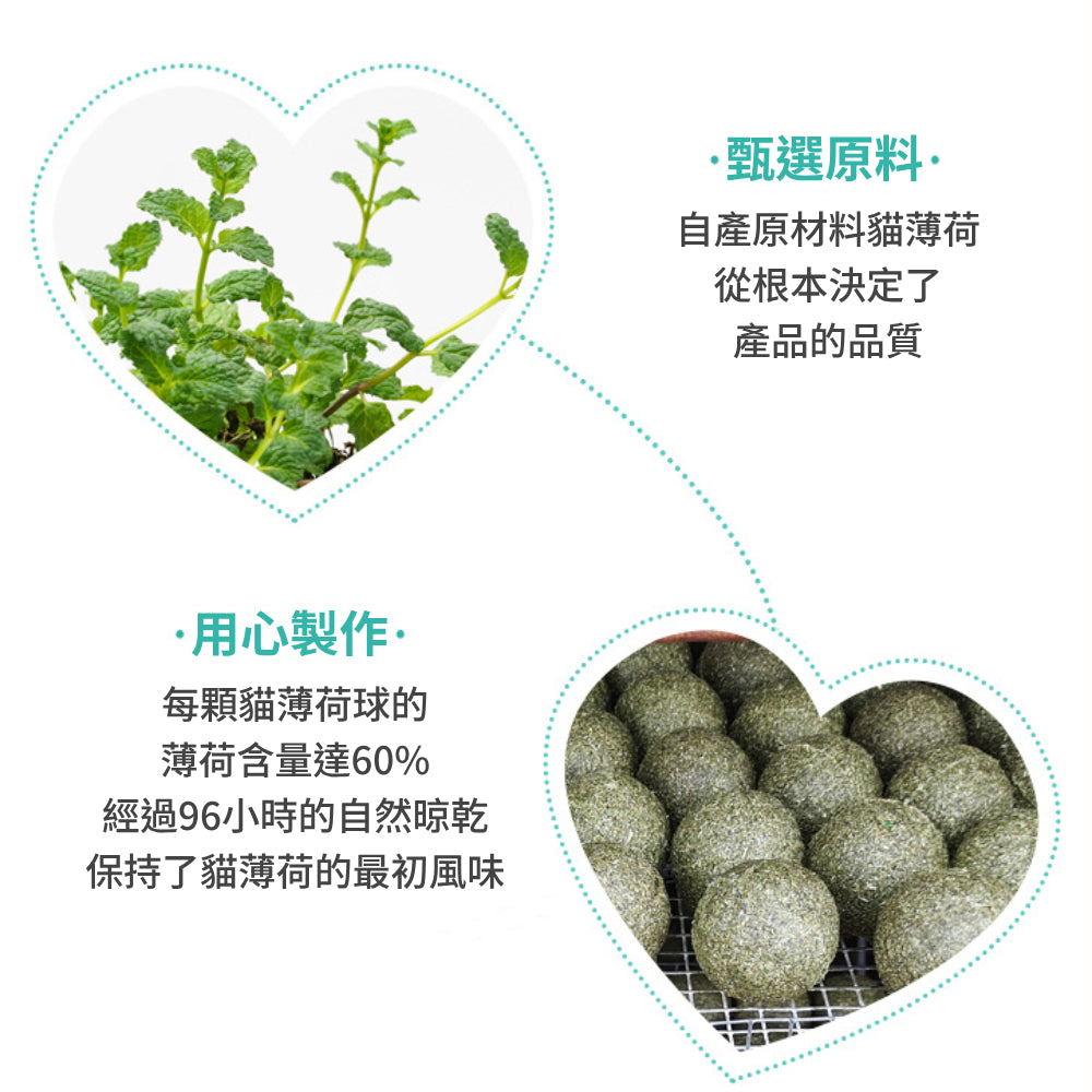 AAC貓薄荷球 貓草球 貓薄荷 貓咪玩具 貓草 貓玩具 逗貓棒 貓草棒 逗貓 木天蓼 逗貓玩具 貓草
