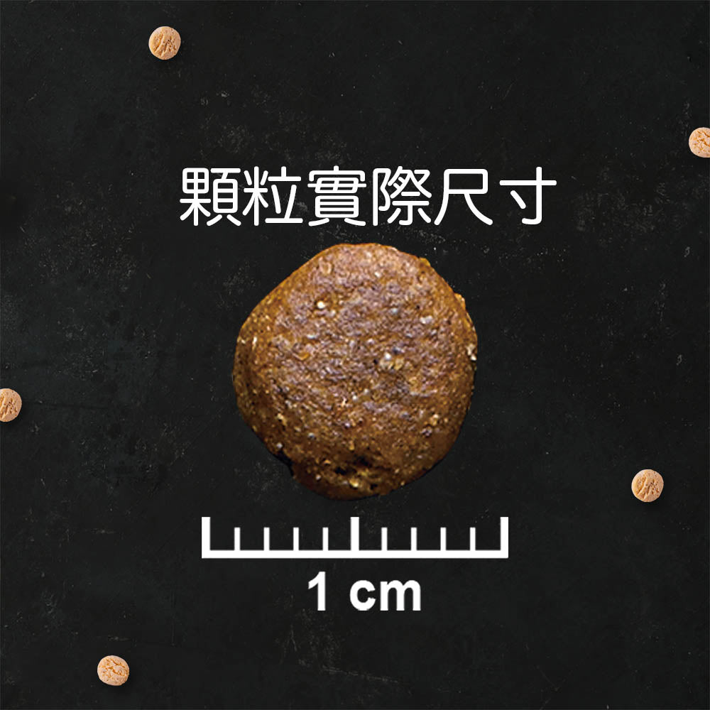 TAPAZO 特百滋 凍乾三重奏狗飼料 狗糧 成犬 熟齡犬 幼犬 狗飼料 毛掌櫃寵物