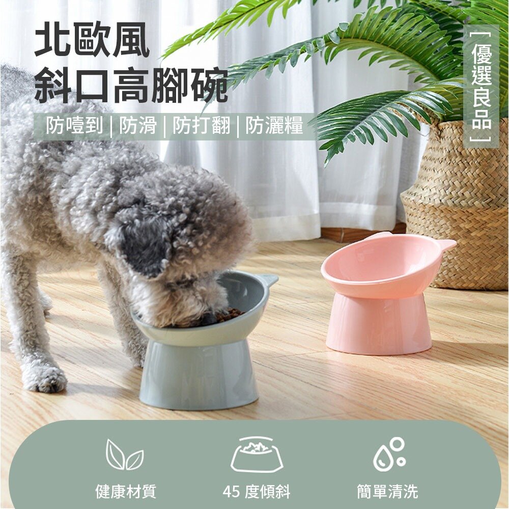AAVC北歐風斜口高腳碗 加厚款 寵物碗 貓碗 狗碗 食盆 寵物食碗 防打翻貓碗 增高碗