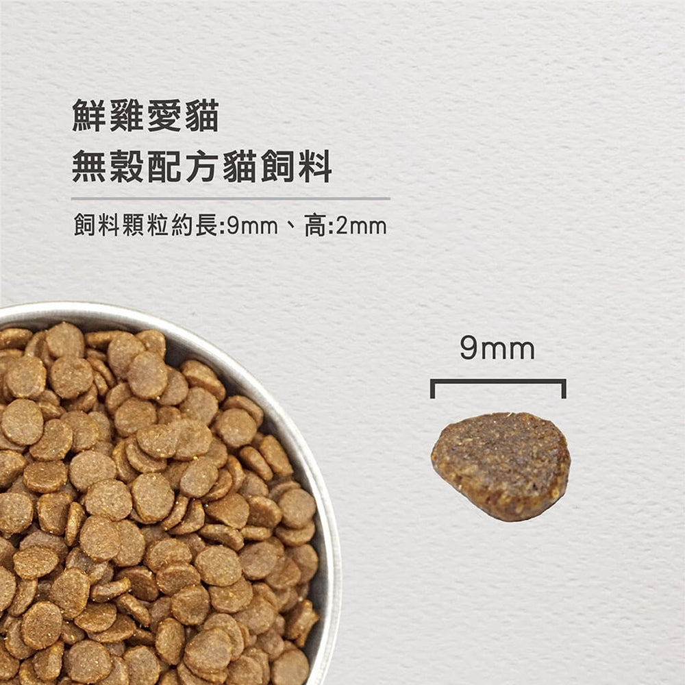 Orijen 歐睿健貓糧 毛掌櫃寵物 渴望 六種鮮魚 室內貓 野牧鮮雞 貓飼料