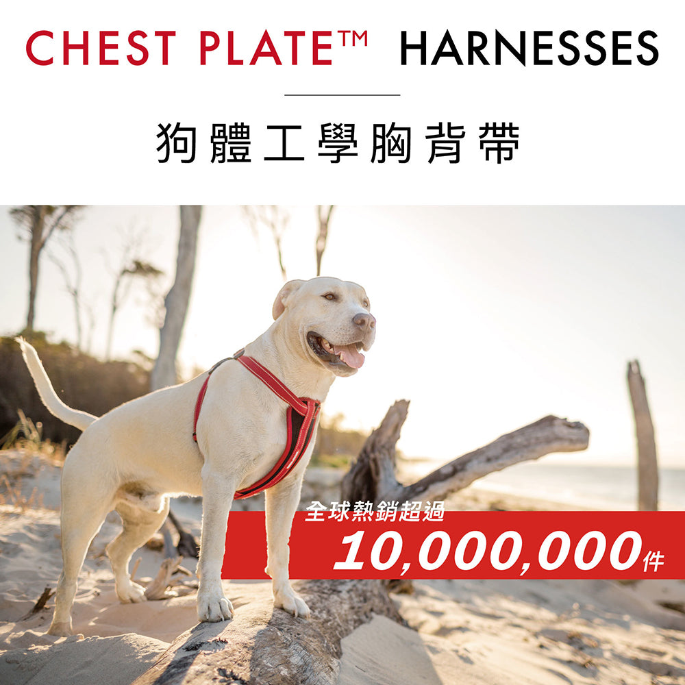 EZYDOG澳洲-狗體工學胸背帶 寵物牽繩另外選 貓咪外出用品 毛掌櫃寵物