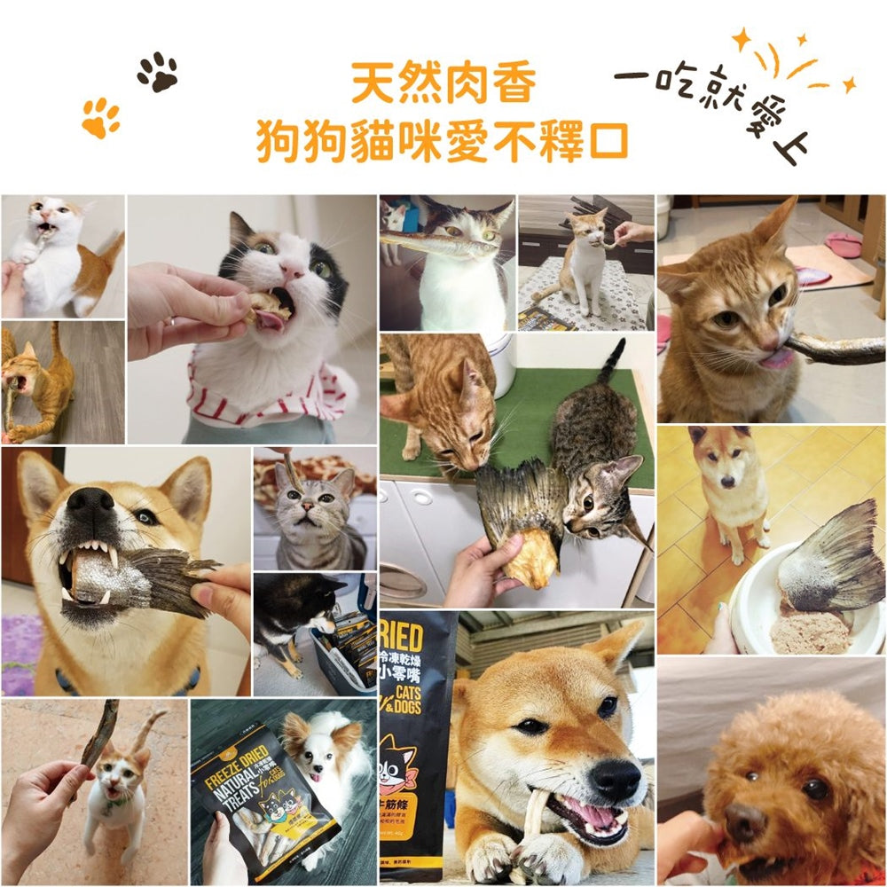 汪喵星球 天然原肉 凍乾零食 袋裝/罐裝 原肉小零嘴 小丁狀 犬貓凍乾零食 貓狗零食 凍乾