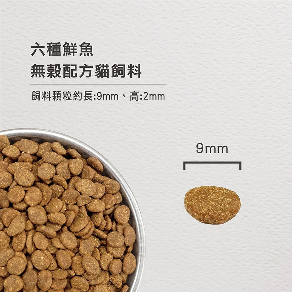 Orijen 歐睿健貓糧 毛掌櫃寵物 渴望 六種鮮魚 室內貓 野牧鮮雞 貓飼料