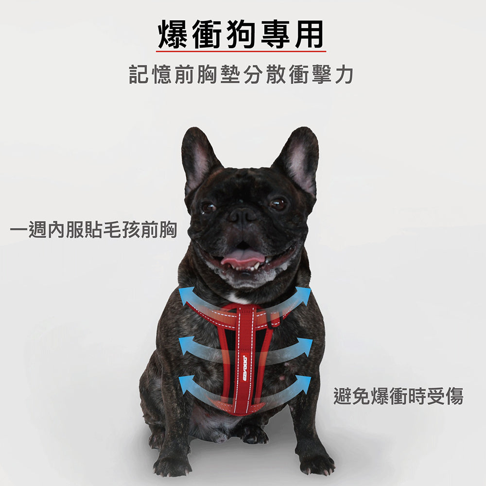 EZYDOG澳洲-狗體工學胸背帶 寵物牽繩另外選 貓咪外出用品 毛掌櫃寵物