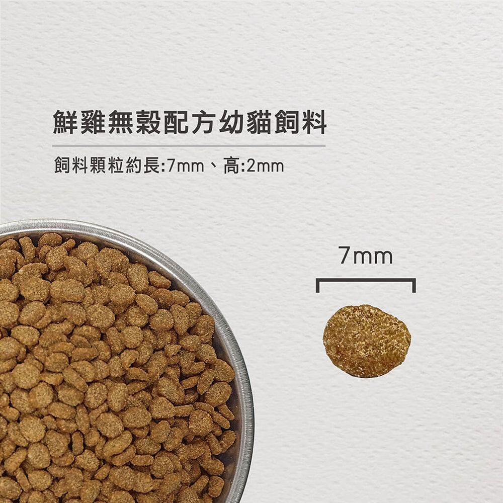 Orijen 歐睿健貓糧 毛掌櫃寵物 渴望 六種鮮魚 室內貓 野牧鮮雞 貓飼料