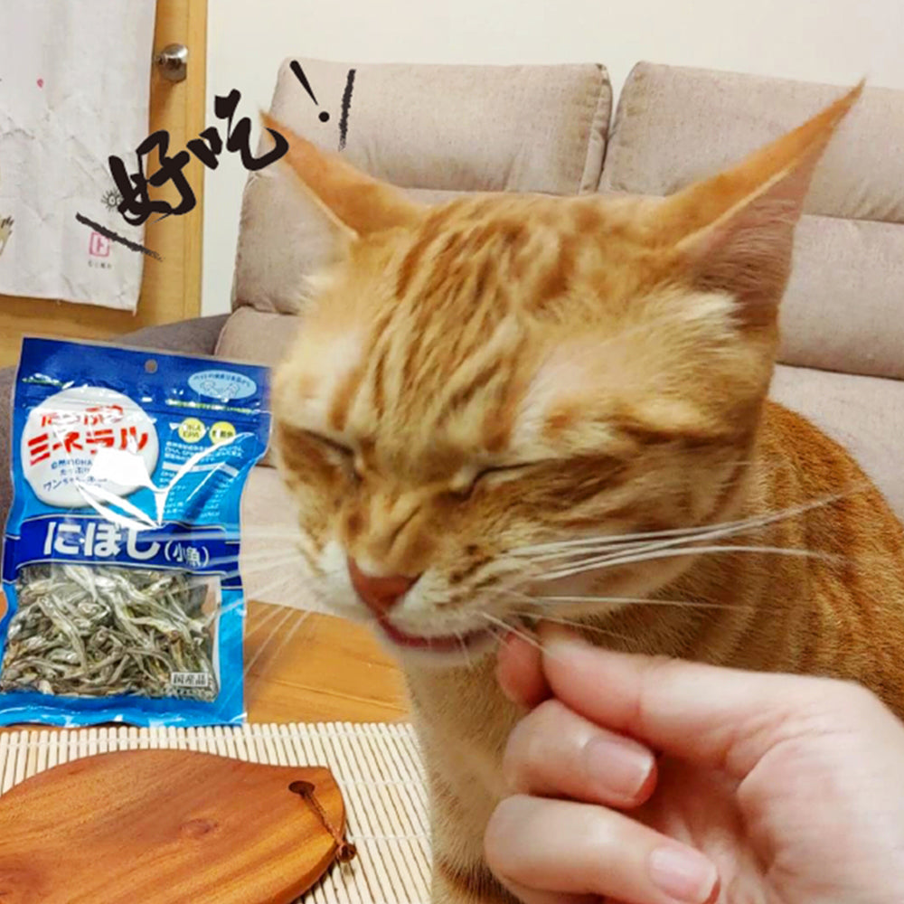 Asuku 日本 小魚乾 長崎丁香魚 D&C大魚乾 貓咪點心 狗狗點心 寵物點心 毛掌櫃寵物