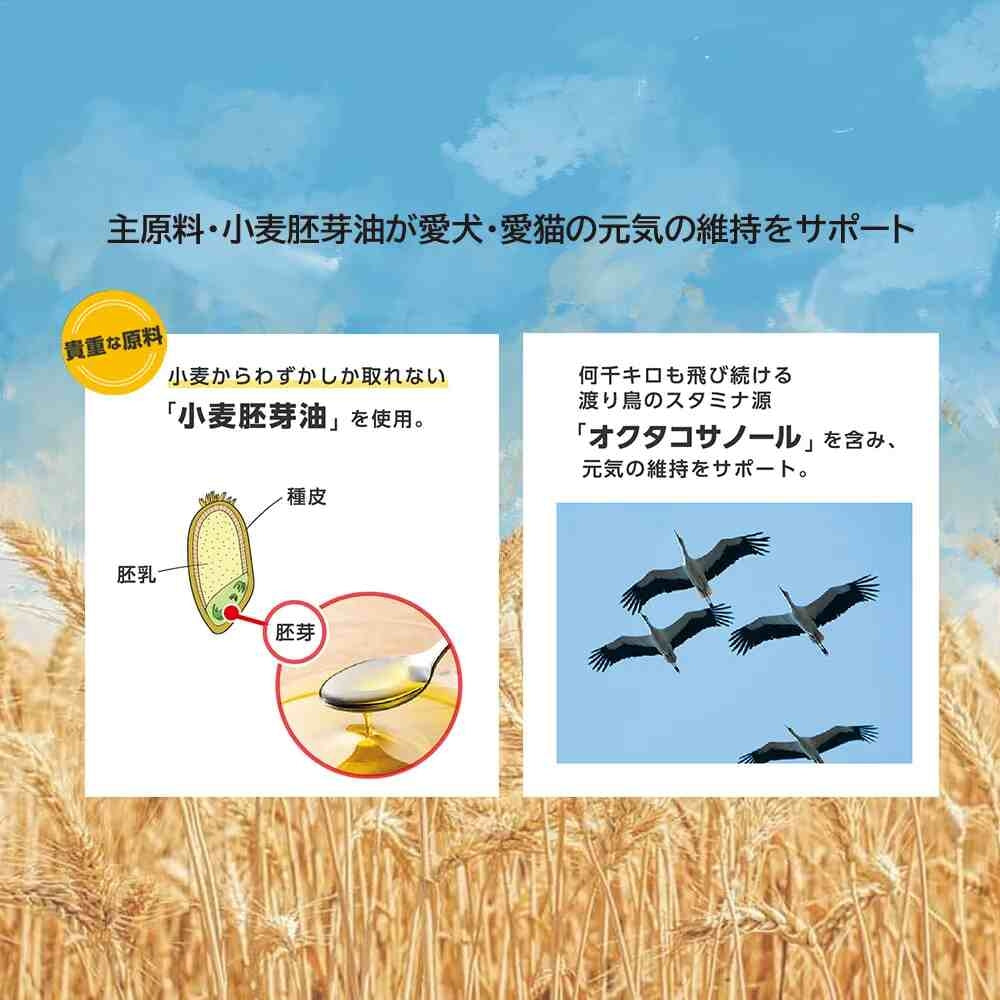 Staminol 貓專用毛球護理 增進食慾營養膏 DHA (強效化毛膏 貓專用 毛球護理 寵物保健品)