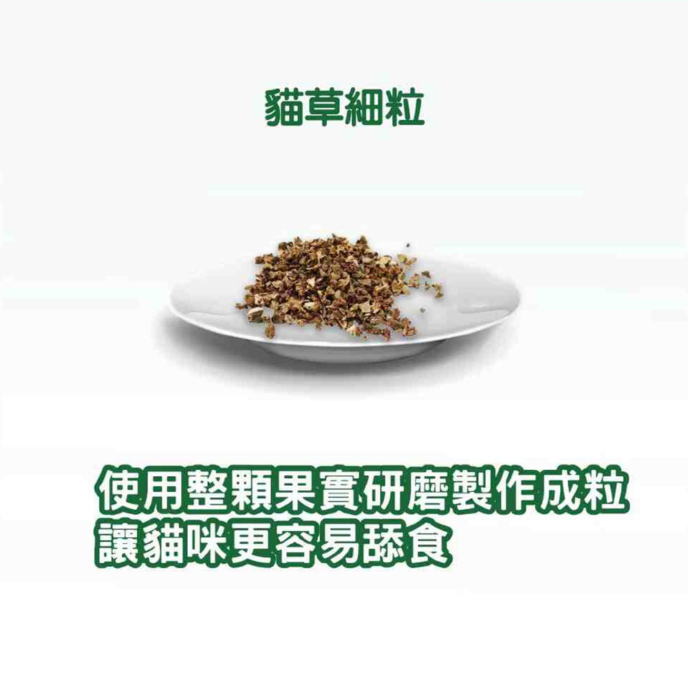 Bone Plus 貓專用 魚型薄荷潔牙骨 魚肉薄荷潔牙條 貓薄荷 木天蓼蟲癭果 貓用潔牙骨 潔牙骨