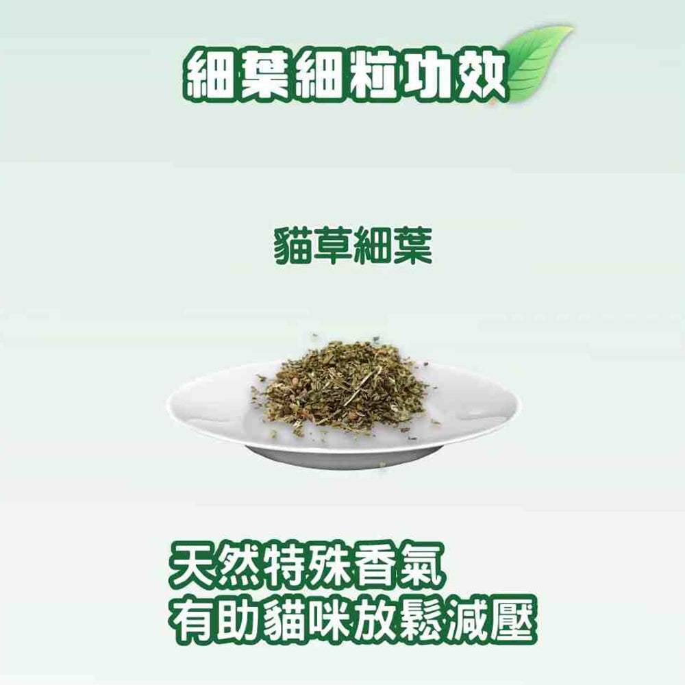 Bone Plus 貓專用 魚型薄荷潔牙骨 魚肉薄荷潔牙條 貓薄荷 木天蓼蟲癭果 貓用潔牙骨 潔牙骨