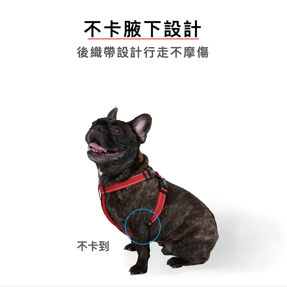 EZYDOG澳洲-狗體工學胸背帶 寵物牽繩另外選 貓咪外出用品 毛掌櫃寵物