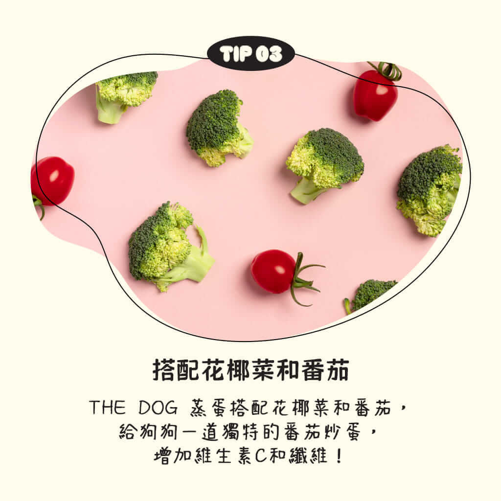 THEDOG 新鮮蒸蛋 狗狗新鮮蒸蛋條 蒸蛋條