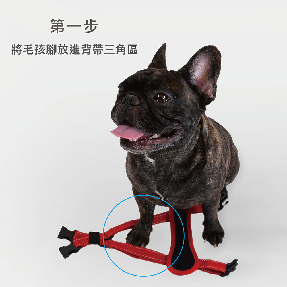 EZYDOG澳洲-狗體工學胸背帶 寵物牽繩另外選 貓咪外出用品 毛掌櫃寵物