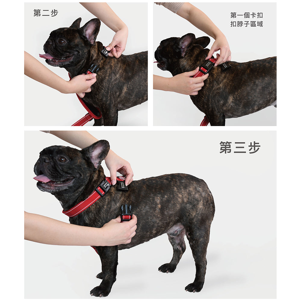 EZYDOG澳洲-狗體工學胸背帶 寵物牽繩另外選 貓咪外出用品 毛掌櫃寵物