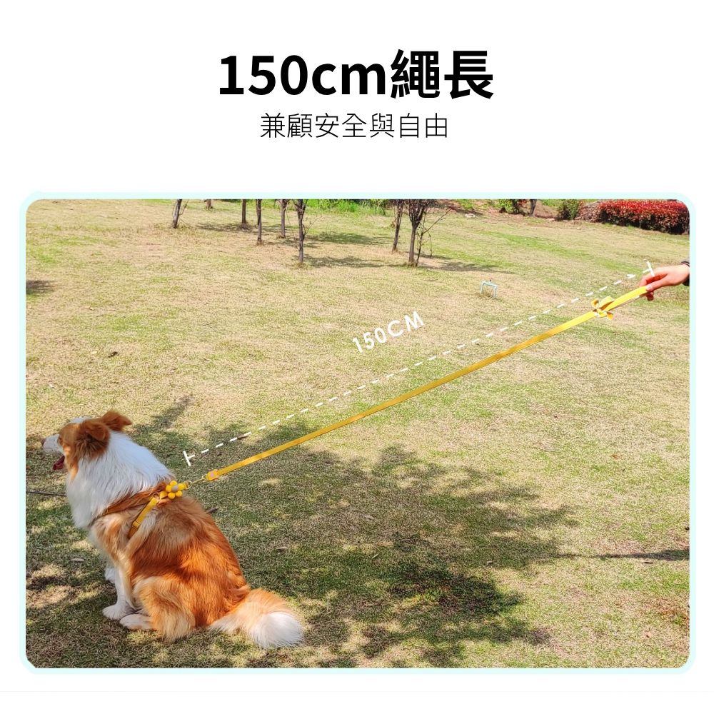 LUFEI寵物胸背牽引繩 五瓣花 可愛胸背 貓咪牽引繩 寵物牽繩 胸背帶 狗牽繩 貓牽繩