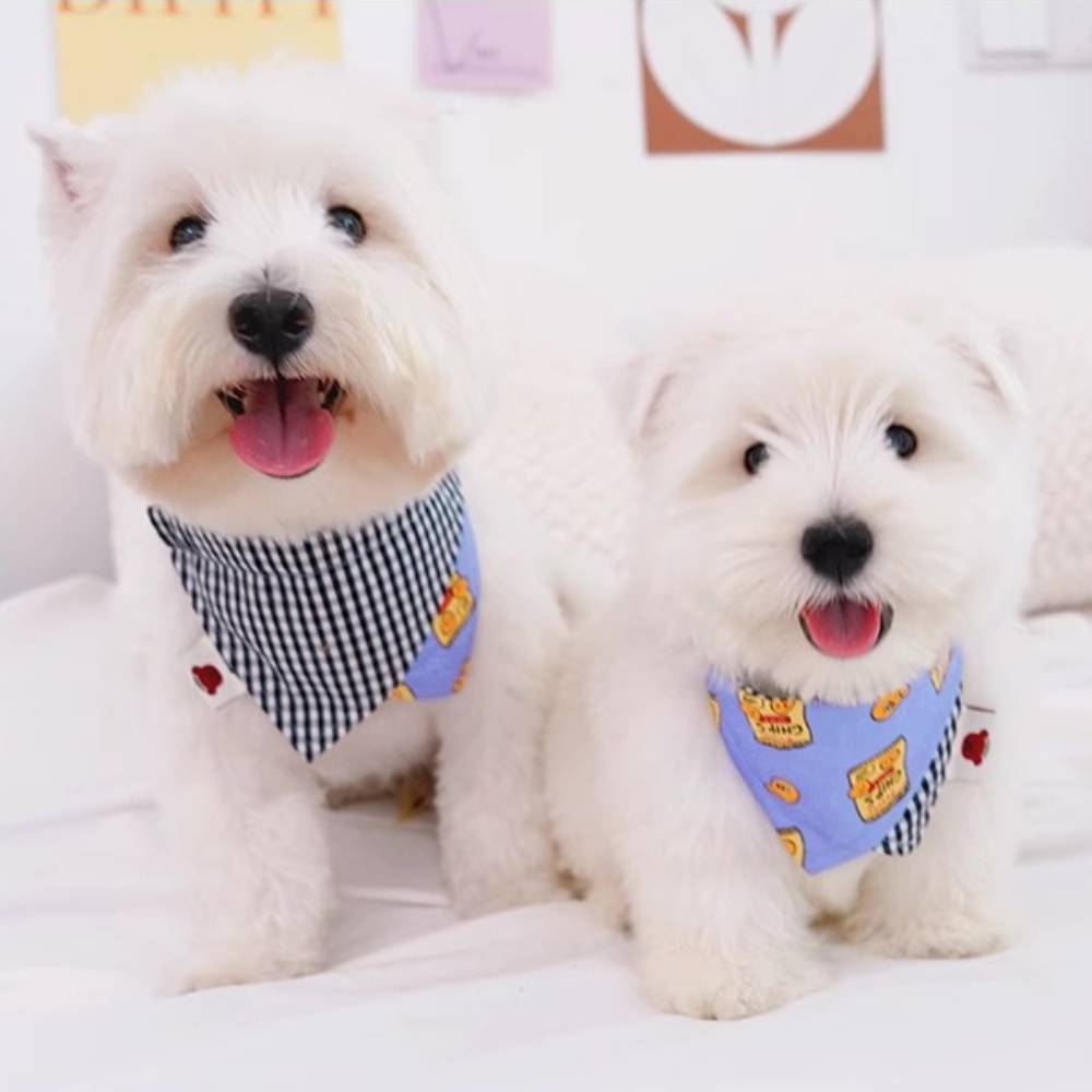 PUPPY BIBIS寵物圍巾 寵物口水巾 寵物防髒圍巾 寵物圍兜 貓狗圍巾 寵物外出口水巾