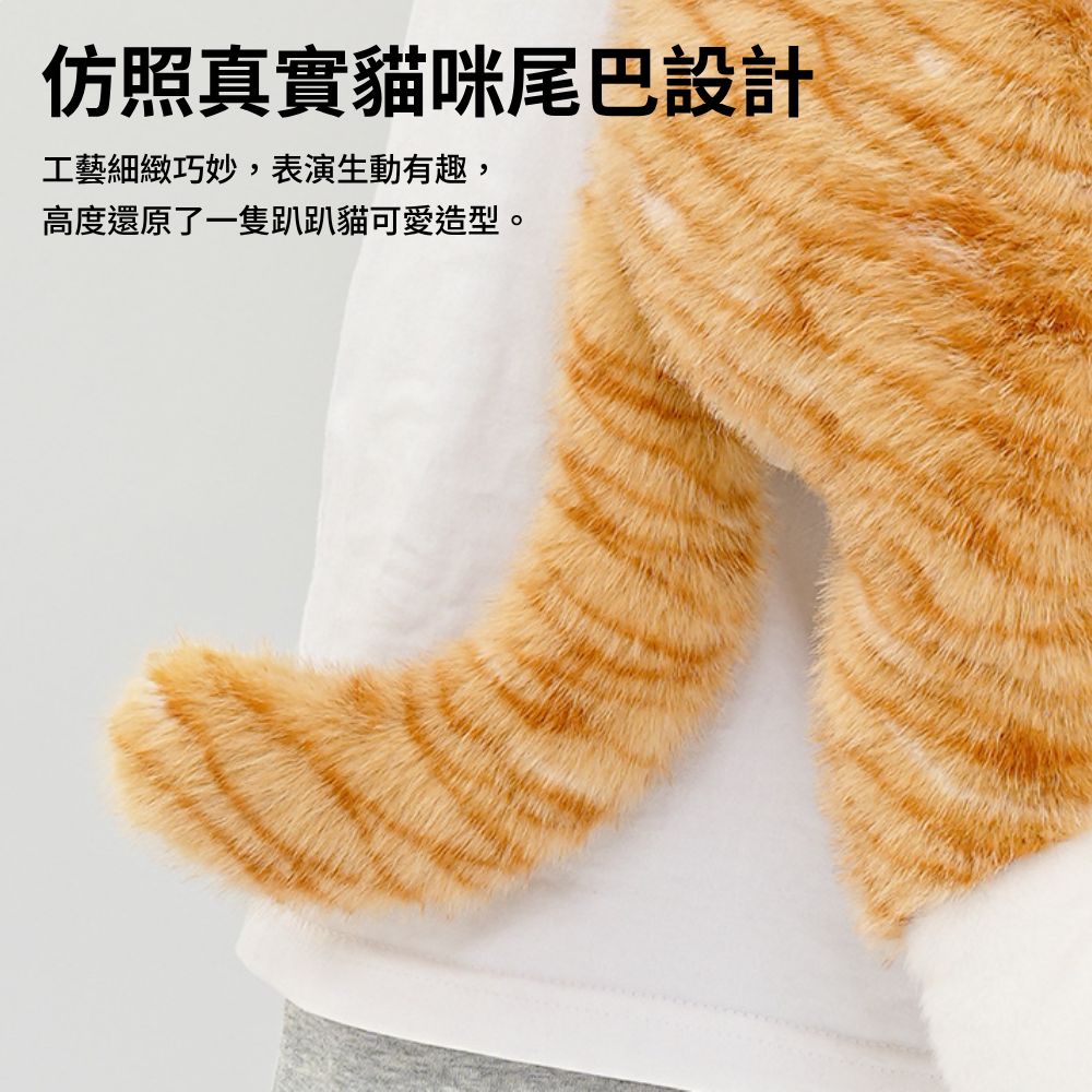 抱抱寶貝貓玩偶 毛絨玩具 絨毛娃娃 貓咪玩偶 大型玩偶 玩偶動物 安撫娃娃 趴趴貓咪