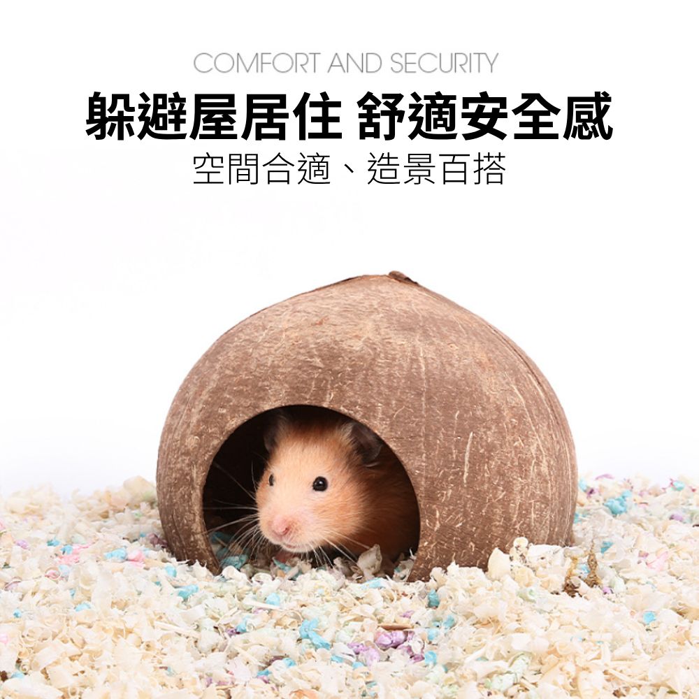 YEE椰殼倉鼠窩 倉鼠躲避屋 倉鼠椰子窩 天然椰子殼 倉鼠磨牙小屋 倉鼠籠內造景 倉鼠吊窩 倉鼠空中爬梯