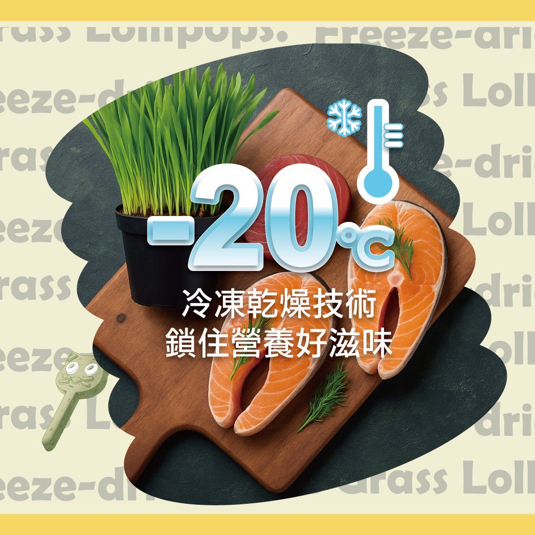 歐姆貓OMO 糖果喵凍乾棒棒糖 貓凍乾棒棒糖 貓草棒棒糖 貓草 貓咪潔牙 貓咪磨牙 貓咪零食