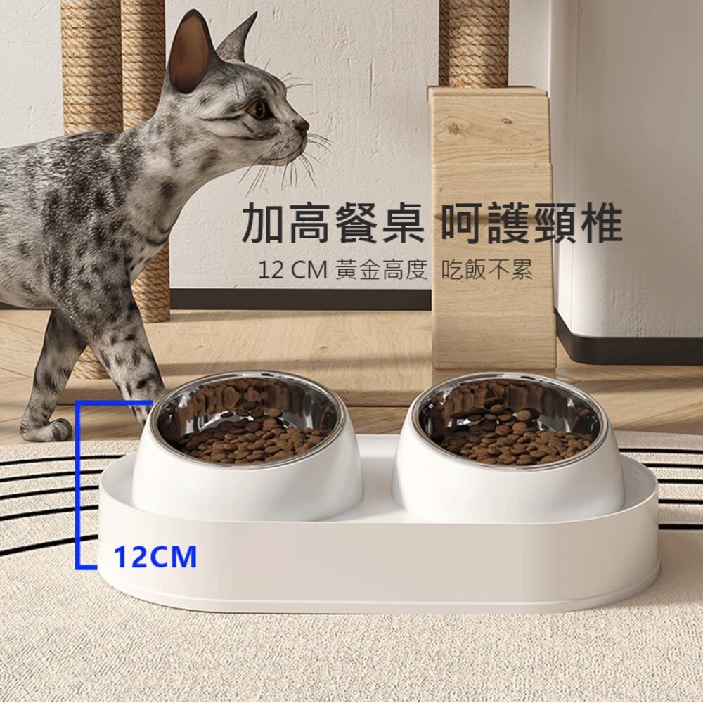 不鏽鋼增高雙碗 寵物陶瓷碗 增高碗 防蟻碗 防溢碗 不銹鋼 防打翻 防溢食 水碗 寵物碗 狗碗 貓咪碗