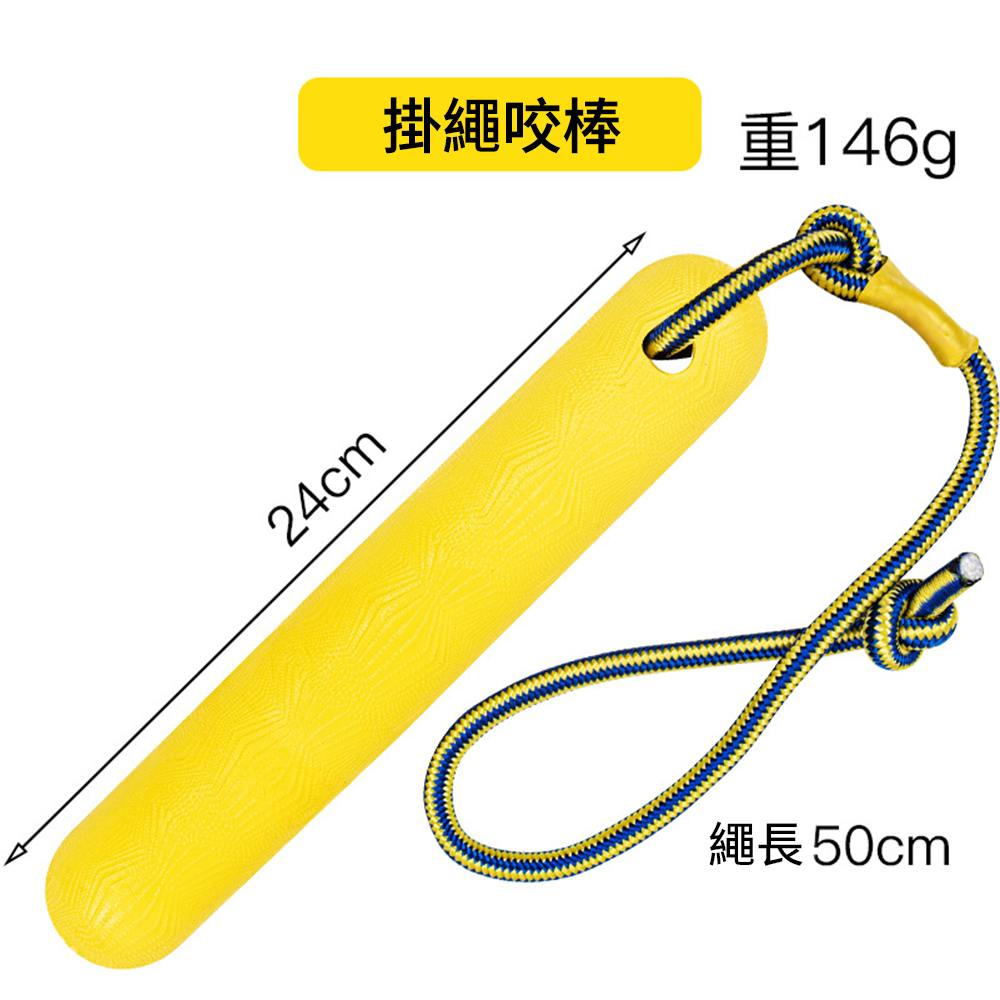 BIIITE 浮水耐咬玩具 寵物 玩具球 狗狗 浮水 訓犬 耐咬 磨牙 寵物球 穿繩球