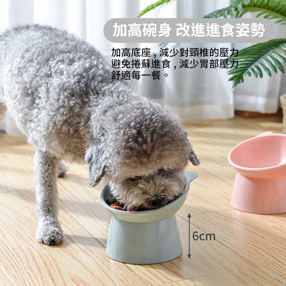 AAVC北歐風斜口高腳碗 加厚款 寵物碗 貓碗 狗碗 食盆 寵物食碗 防打翻貓碗 增高碗
