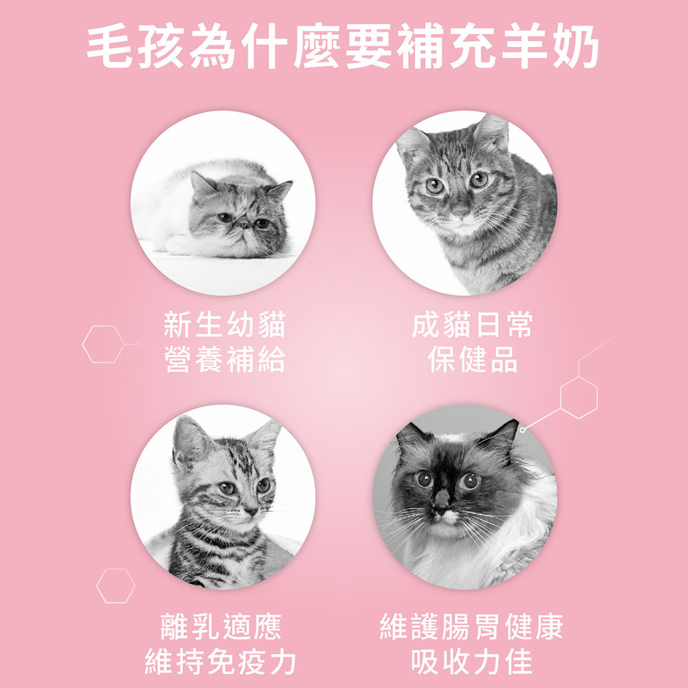 SINGEN 信元發育寶 寵物用奶粉 發育寶-S 貓用奶粉發育寶-S 犬用奶粉200g 寵物奶粉 毛掌櫃寵物